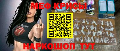 индика Славгород