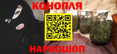 индика Славгород