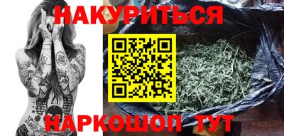 индика Славгород