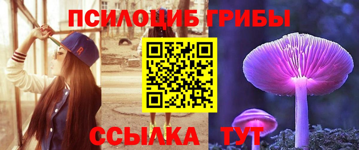 Сертолово  Галлюциногенные грибы прущие грибы  Вход с VPN 